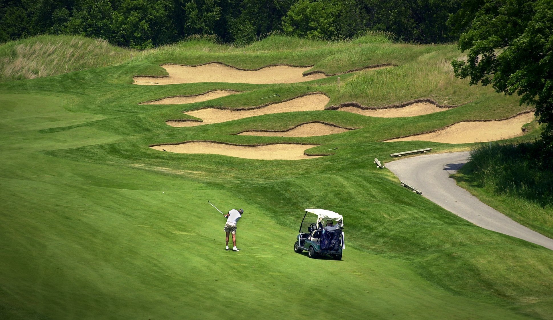 Back the MACC Golf Outing At the Bog MACC Fund